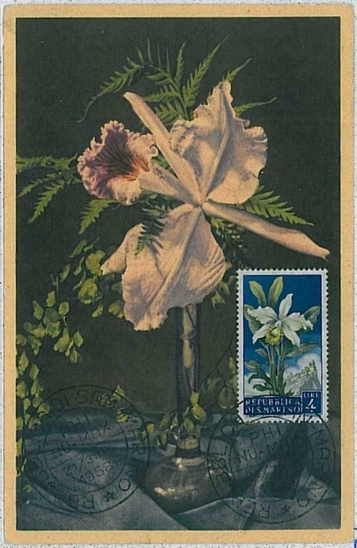 32482 - SAN MARINO - MAXIMUM CARD: Nature FLOWERS 1958 #3-