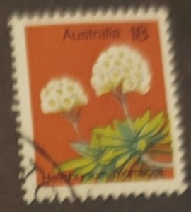 Australia 564