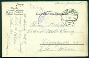 1917, Hungary Naval card, ship “KRON PRINZ ERZHERZOG PUDOLE”, purple oval cxl