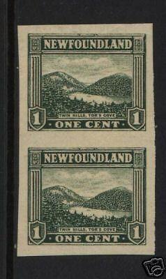 Newfoundland #131b VF/NH Imperforate Pair