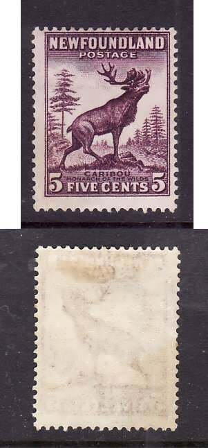 Newfoundland-Sc #191- id 7-unused,og,hinged-5c deep violet-Caribou-1932-7-vertic