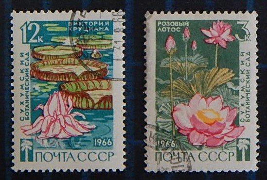 Flowers, USSR, (2583-T)