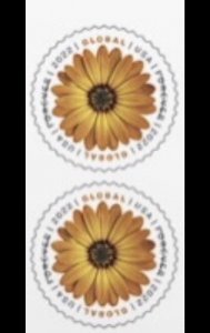 US African Daisy International Rate Vertical Pair 2 stamp. MNH Pre-order.
