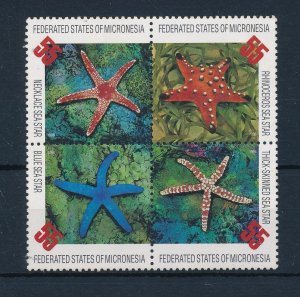 [52021] Micronesia 1996 Marine life sea stars starfish  MNH