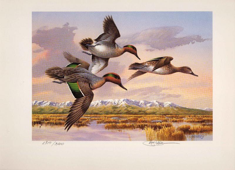 IDAHO #2 1988 STATE DUCK STAMP PRINT GREEN WINGED TEAL by Jim Killen