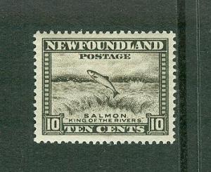 Newfoundland MINT Bargain Box