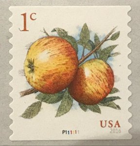 2016 USA #5037 1c Apples Coil Plate Number Single PNC Mint #P111111 apple