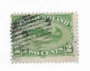 Newfoundland #47 Used - Stamp - CAT VALUE $20.00