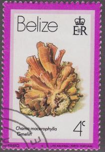 Belize 474 SeaShells 1980 CTO
