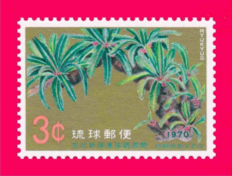 Ryukyu 1970 Nature Flora Great Cycad of Une - National Treasures 1v Sc205 MNH