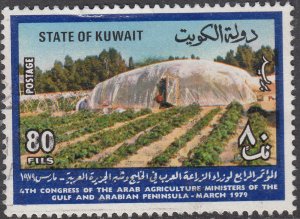 Kuwait #781     Used