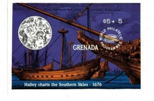 Grenada 1989 - Halley Comet SP - Souvenir Stamp Sheet - Scott #B15 - MNH