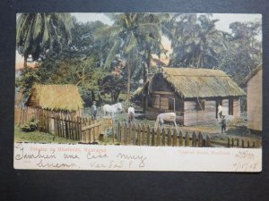 1908 Bluefields Nicaragua PPC Postcard Cover to Australia Costa Atlantica Stamps