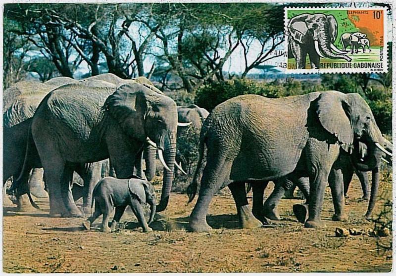 MAXIMUM CARD - POSTAL HISTORY - Gabon: Elephants, Wild Animals, Safari, 1967