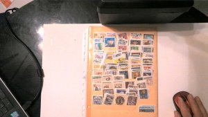 AUSTRIA COLLECTION ON STOCK SHEET , MINT/USED