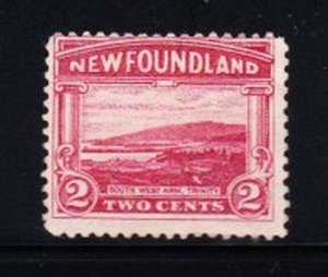 Album Treasures  Newfoundland Scott # 132  2c South West Arm Mint Hinged