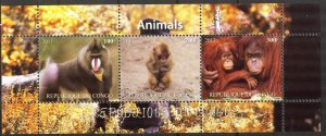 Congo 2011 Animals Monkeys (1) MNH Cinderella !