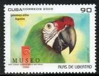 CUBA Sc# 4993  PARROTS birds 90c  2009  MNH mint