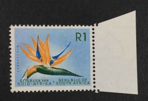 MOMEN: SOUTH AFRICA SG #236 VAR. SHORT U 1964 MINT OG NH £48+ LOT #64549