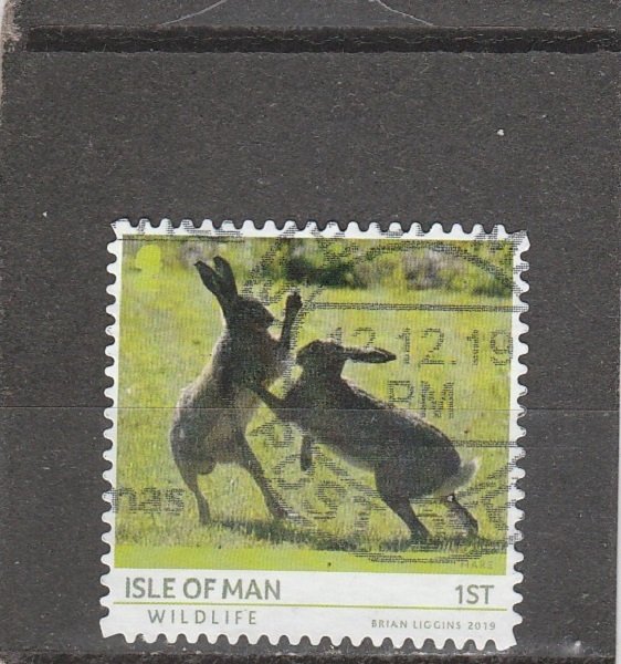 Isle of Man  Scott#  2006  Used  (2019 Hares)