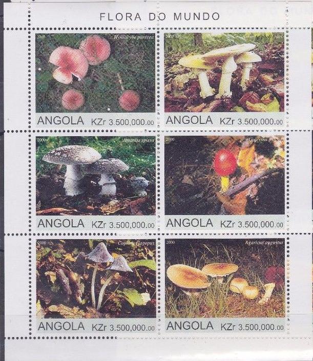 ANGOLA SHEET MUSHROOMS