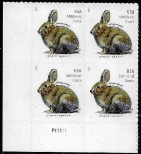 United States #5544 MNH Plate Block - Bush Rabbit (b)