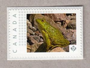 FROG ON ROCK = Picture Postage  stamp MNH-VF Canada 2016 [p16/02-2fr6/3]