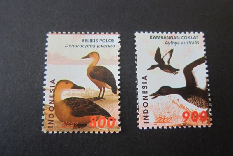 Indonesia 2000 Sc 1918-19 bird set MNH