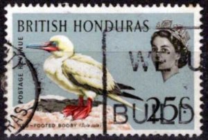 ZAYIX -British Honduras 174 used wmk upright Red-Footed Booby Bird 041123-S152M