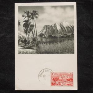 ZS-W724 MAXIMUM CARDS - France, Afrique Occidentale Francaise, Landscape