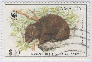 Jamaica 1996 used Sc 858 $10 Jamaican Hutia on ledge WWF