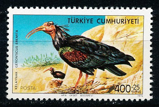 Turkey #B156 Single MNH