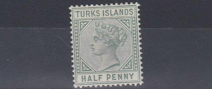 TURKS & CAICOS  1893  S G 70   1/2D  DULL GREEN   MH