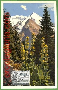 15638 - Switzerland - MAXIMUM CARD - 1954 - Nature-