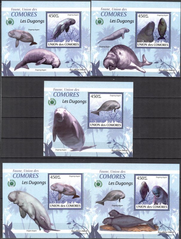 {100} Comoros 2009 Marine Life Dugongs 5 S/S Deluxe MNH**