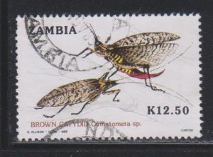 Zambia, 1k Bradfield’s hornbill (SC# 381) Used