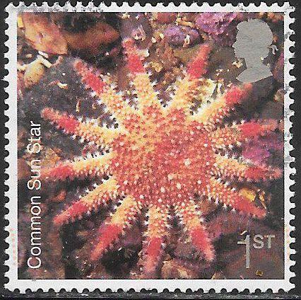 Great Britain 2429 Used - ‭Marine Life - Common Starfish