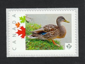 DUCK = Picture Postage stamp MNH Canada 2015 [p15/10br3/3]