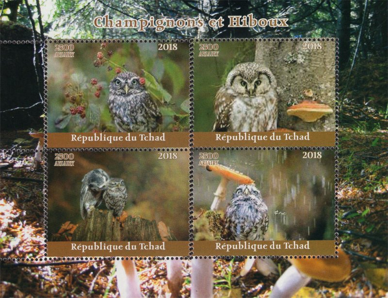 Chad 2018 Owls Birds of Prey Mushrooms 4v Mint Stamps Sheet S/S. (#107)