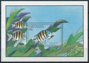 [109108] Grenada 1990 Marine life fish Sergeant Major Souvenir Sheet MNH