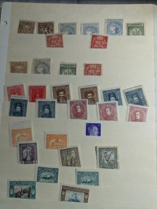 Nice Lot of International Stamps on Stock pages!  -Some Old Ukraine! ~60 Photos!