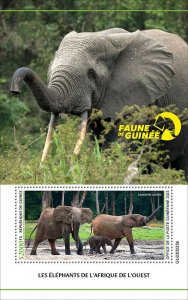 GUINEA - 2023 - Elephants of West Africa - Perf Souv Sheet - Mint Never Hinged