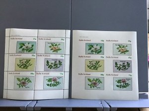 Staffa Scotland plants flowers Trailing  Rose mint never hinged  stamps R25441