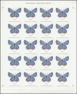 US 5136 Eastern Tailed-Blue Butterfly NMS sheet (20 stamps) MNH 2016