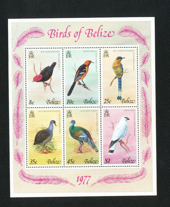 BELIZE - Scott 403a - MNH S/S with lite selvage crease - BIRDS - 1977