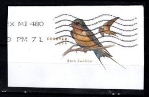 #U696 Barn Swallow Cut Square FC - Used