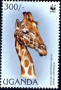 Rothschilds Giraffe, Head Up Close, Uganda SC#1469c MNH