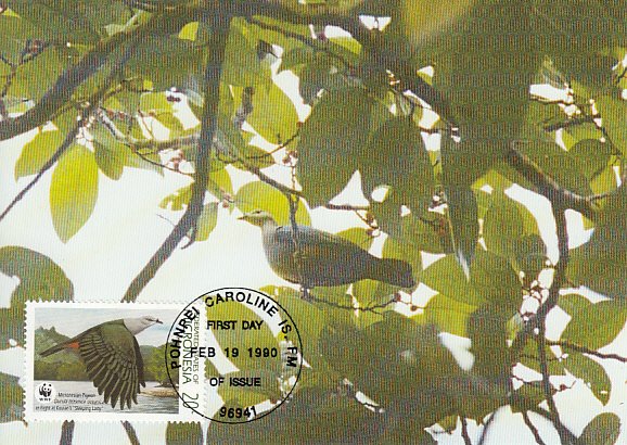 Micronesia 1990 Maxicard Sc #108 20c Micronesian pigeon WWF