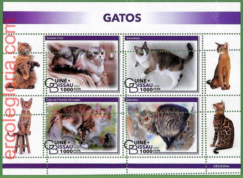 B1557 - GUINE-BISSAU - ERROR MISPERF Stamp Sheet - 2022 - Cats, Animals-