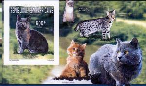 Central African Rep.1996 CATS S/S Imperf.MNH Sc#1127